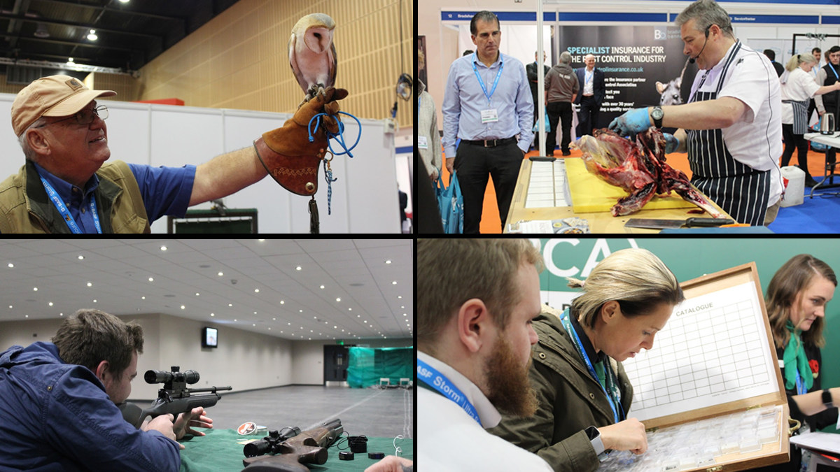 Pest tech 2019 npta 2 Some of the highlights from PestTech 2019, including the Wild Chef and a chance to look at some insect specimens